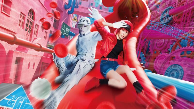 cells visual cells visual